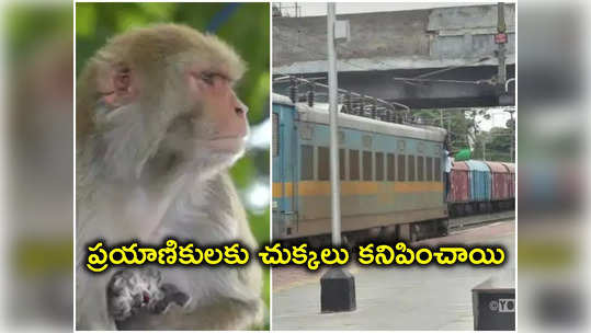 Kakinada: కోతి కారణంగా నిలిచిపోయిన రైళ్ల రాకపోకలు.. ప్రయాణికులకు తీవ్ర ఇక్కట్లు 