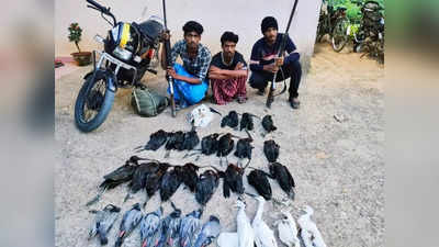 மரக்காணம் அருகே அறிய வகை பறவைகளை வேட்டையாடிய மூன்று பேர் கைது