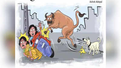 गाय ने स्कूटर पर सवार दो महिलाओं को जख्मी किया, कुत्ते के मालिक पर केस, गुजरात के राजकोट का मामला