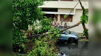 ಬೆಂಗಳೂರಿನಲ್ಲಿ ಸುರಿದ ಭಾರೀ ಮಳೆಗೆ 65 ಕಡೆ ಧರೆಗುರುಳಿದ ಮರಗಳು! ನದಿಯಂತಾದ ರಸ್ತೆಗಳು, ಅಂಡರ್‌ಪಾಸ್‌ಗಳು ಜಲಾವೃತ