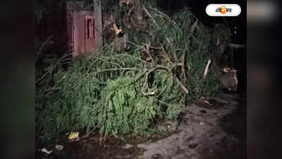 Kalbaisakhi In West Bengal : কয়েক মিনিটের ঝড়ে লণ্ডভণ্ড হবিবপুর, ঘরের চাল পড়ে প্রাণ গেল কিশোরীর