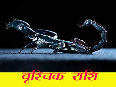 Scorpio Weekly Horoscope 22 To 28 May 2023: अचानक धन प्राप्ति के योग, अपने सामान को लेकर रहें सतर्क