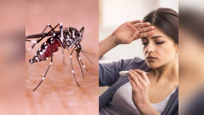 Thane News : आरोग्य विभागाने दिली चिंताजनक माहिती; चार महिन्यांत डेंग्यू आणि मलेरिया रुग्णांमध्ये वाढ