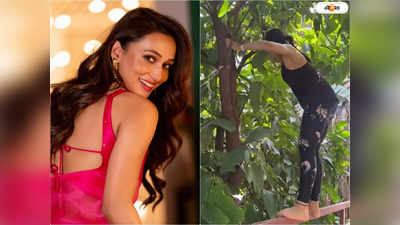 Mimi Chakraborty: রেলিং ধরে ঝপ করে চড়লেন গাছে, টপাটপ ফল পাড়ছেন আর খাচ্ছেন,দেখুন মিমির কাণ্ড