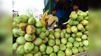 ಕರ್ನಾಟಕದ ಎಳನೀರಿಗೆ ದೆಹಲಿಯಲ್ಲಿ ಭಾರೀ ಡಿಮ್ಯಾಂಡ್‌; ಒಂದಕ್ಕೆ 100 ರೂಪಾಯಿ ದರವಂತೆ!