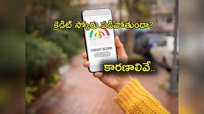 CIBIL Score: మీకు తెలియకుండానే సిబిల్ స్కోరు తగ్గుతుందా? కారణాలివే కావొచ్చు.. ఇలా పెంచుకోవచ్చు..