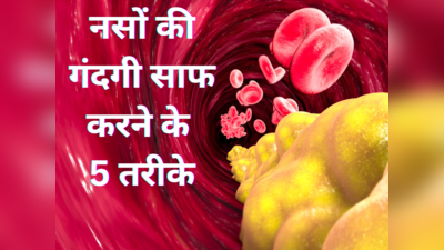 कोलेस्ट्रॉल से डेंजर है ट्राइग्लिसराइड्स, Heart Attack को देता है दावत, खून से इस गंदगी को छान देंगे 5 तरीके