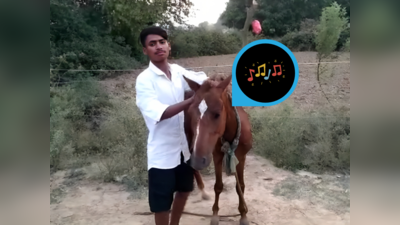 Hardoi: गाना सुने बिना हिलता भी नहीं है, चारा तक नहीं खाता... संगीत के लिए घोड़े की ऐसी दीवानगी देखी है?