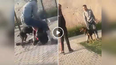 Dog Attack Video : लड़के ने कुत्ते को छड़ी से मारा, बेजुबान ने उसे 30 सेकंड में सबक सिखा दिया
