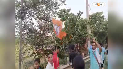 Murshidabad TMC Rally : জীবনের এলাকায় উলটপুরাণ, তৃণমূলের মিছিলে BJP-র পতাকা হাতে ব্যক্তি! শোরগোল জেলা জুড়ে