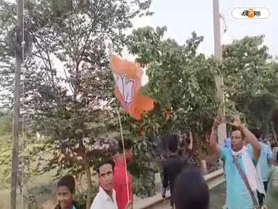 Murshidabad TMC Rally : জীবনের এলাকায় উলটপুরাণ, তৃণমূলের মিছিলে BJP-র পতাকা হাতে ব্যক্তি! শোরগোল জেলা জুড়ে