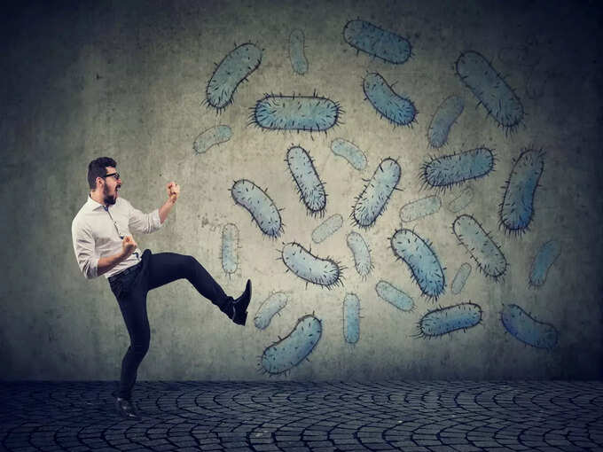 Curry leaves are the enemy of bacteria