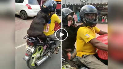 Dog Wear Helmet On Bike: बाइक पर हेलमेट पहनकर बैठा नजर आया कुत्ता, यूजर्स ने साथ सफर कर रहे शख्स से कह दी ये बात