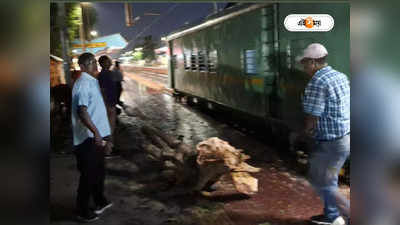 sealdah main line train : ঝড়ে গাছ পড়ে শিয়ালদা মেইন লাইনে ট্রেন চলাচল ব্যাহত! চরম দুর্ভোগ যাত্রীদের