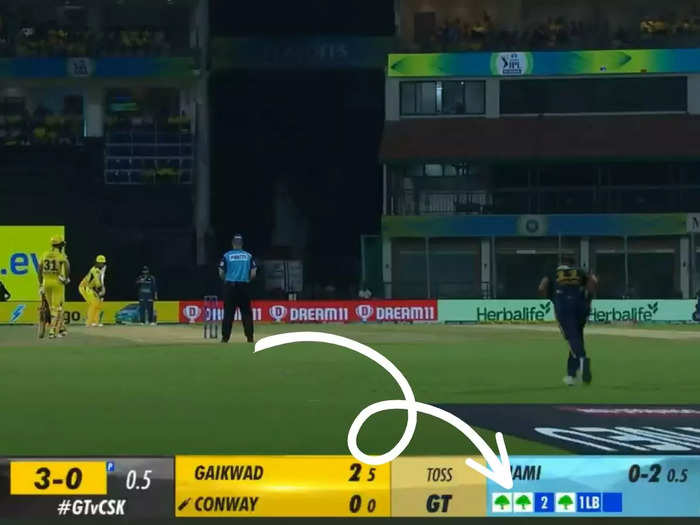 dot balls tree dot balls tree