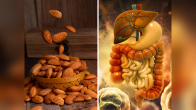 Almond in Summer : पोटातील उष्णतेचा त्रास कमी होईल, पचनक्रिया १००% सुधारेल, जाणून घ्या किती आणि कसे बदाम खावेत