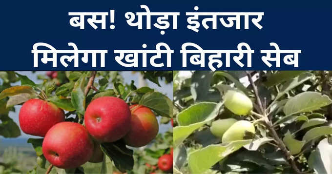 bihar apple cultivation fb