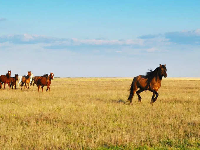 Kazakhstan