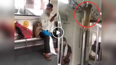 Delhi Metro Me Bandar: दिल्ली मेट्रो के अंदर घुस गया बंदर, बिना किसी को छेड़े उठाया सफर का आनंद, वीडियो वायरल