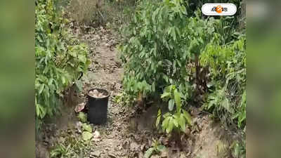 Birbhum Bomb Recovery : বিস্ফোরণের রেশ কাটতে না কাটতেই ফের শিরোনামে বীরভূম!ড্রাম ভর্তি ৩০টি বোমা উদ্ধার