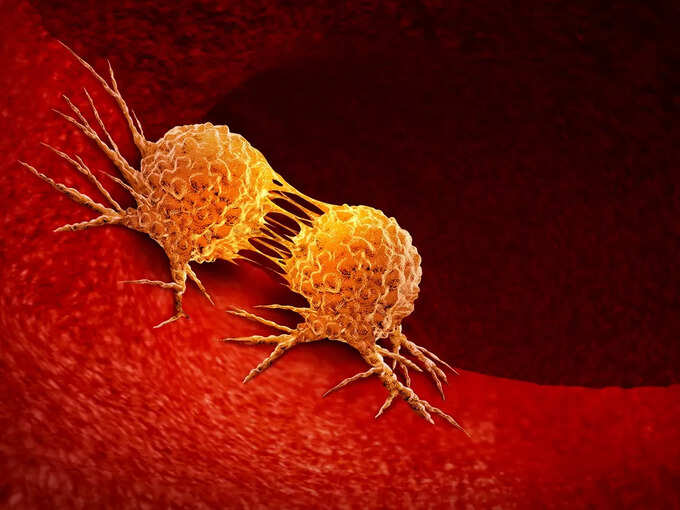 4. Can fight against cancer 4. Can fight against cancer
