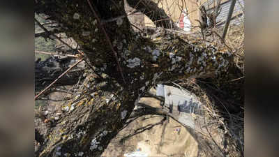 Jammu Kashmir News: किश्तवाड़ में तंबू पर पेड़ गिरने से 4 लोगों की मौत, खानाबदोश गोथर्ड परिवार के थे सभी सदस्‍य