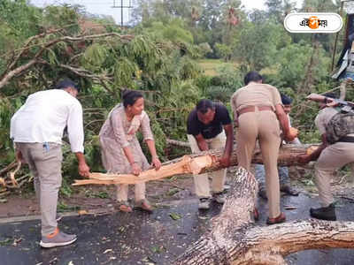 Bankura News : ঝড়ের তাণ্ডবে রাস্তায় যানজট, গাছ সরাতে হাত লাগলেন রাজ্যের মন্ত্রী