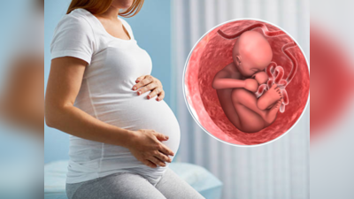गर्भनाळ खाल्ल्यामुळे खरंच आईला ताकद मिळते का? डॉक्टरांनी काय सांगितलं यामागचं सत्य