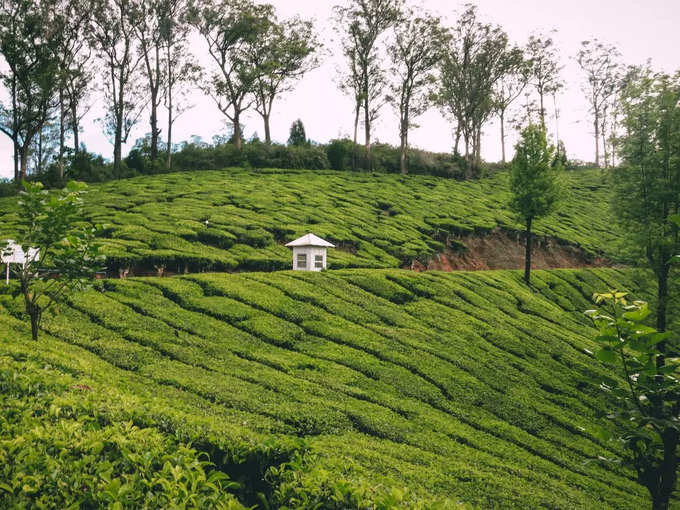 ಬಟಾಸಿಯಾ ಲೂಪ್ 