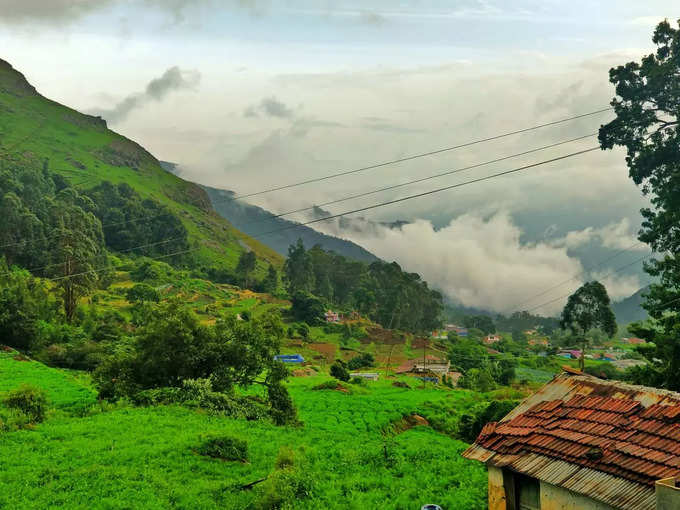 ರಾಕ್‌ ಗಾರ್ಡನ್‌