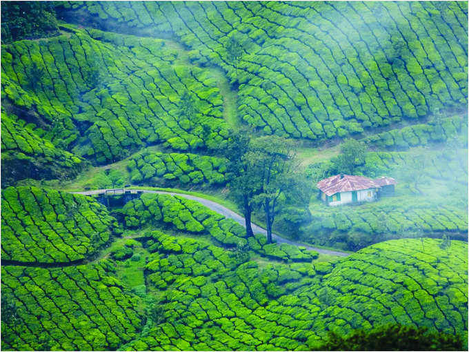 ​​ಮುನ್ನಾರ್​