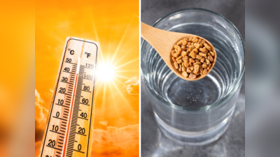 Best Foods For Summer Heat: गर्मी की असली काट हैं ये 6 तरह के बीज, पेट रहेगा बर्फ से ठंडा, लू से होगा बचाव