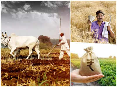 14th installment of PM Kisan : जल्द आने वाले हैं पीएम किसान के 2000 रुपये, इन किसानों को नहीं मिलेगा फायदा