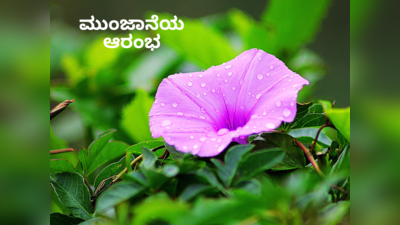 Morning Tips: ಮುಕ್ಕೋಟಿ ದೇವರ ಅನುಗ್ರಹಕ್ಕಾಗಿ ಮುಂಜಾನೆ ತಪ್ಪದೇ ಈ ಸುಲಭ ಕೆಲಸ ಮಾಡಿ..!