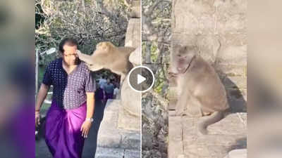 Bandar Ka Video: शख्स की आंखों से चश्मा निकालकर भागा, महिला ने बंदर को मामू बना 5 सेकंड में वापस ले लिया