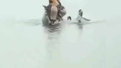 हमीरपुर: नदी की बीच धारा में अंतिम संस्कार के दौरान नाव पलटी, डूबे 11 लोगों को बचाया गया