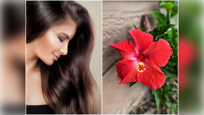 Hibiscus for hair growth: మందారంలో ఇది కలిపి రాస్తే.. పట్టులాంటి జుట్టు మీ సొంతం..!