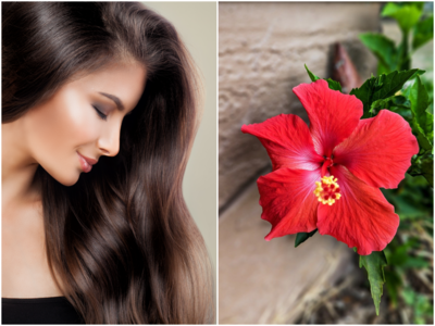 Hibiscus for hair growth: మందారంలో ఇది కలిపి రాస్తే.. పట్టులాంటి జుట్టు మీ సొంతం..!