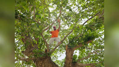 पंछियों को झुलसती गर्मी से बचाने को पेड़ों पर लटका रहे हैं घोंसले, पानी का भी इंतजाम कर रहे Ghazipur के युवा