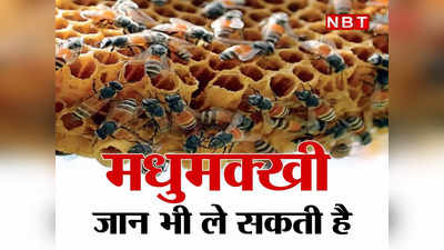 Unnao News: मधुमक्खियों के झुंड के हमले में एक की दर्दनाक मौत, 2 घायल