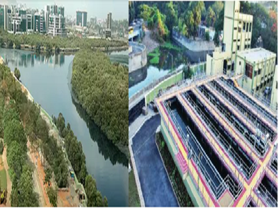 मिठी नदीचे पाणी सुधारल्याचा मुंबई महापालिकेचा दावा; पवईतील प्रकल्पामुळे सकारात्मक बदल