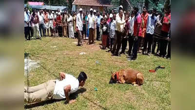 ஏற்காடு கோடை விழா இன்றுடன் நிறைவு: சுற்றுலா பயணிகளை கவர்ந்த செல்லப்பிராணிகள் சாகசம்!