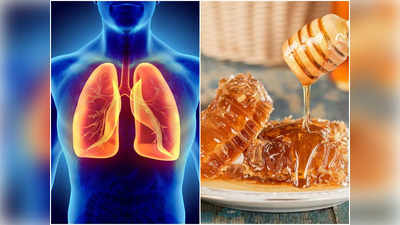 Lung Detox Foods: বায়ু দূষণের ঠেলায় ফুসফুসে জমছে বিষের পাহাড়, এই ৫ খাবার খেলেই প্রকোপ কমবে যাবতীয় সমস্যার