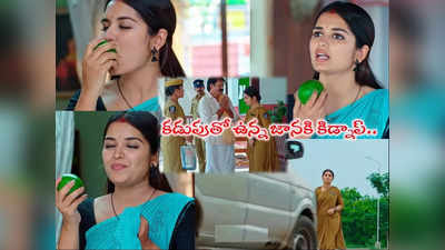 Janaki Kalaganaledu మే 29 ఎపిసోడ్: జానకి కిడ్నాప్.. పుల్లని మామిడి కాయ కొరికింది.. అడ్డంగా దొరికింది