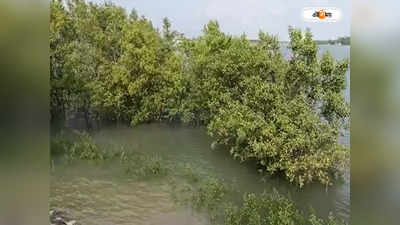 Sundarban Weather : তীব্র দাবদাহে জলকষ্টে ওষ্ঠাগত প্রাণ! গোসাবায় ক্ষোভ প্রকাশ স্থানীয়দের