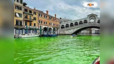 Venice Canal: রাতারাতি ঘন সবুজ ভেনিসের খাল, কোথায় গায়েব স্বচ্ছ স্ফটিক জল?