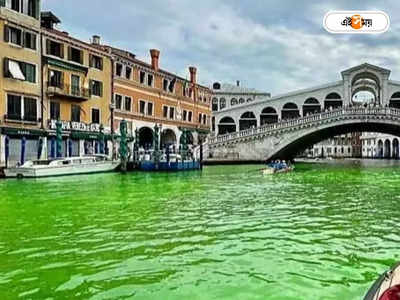 Venice Canal: রাতারাতি ঘন সবুজ ভেনিসের খাল, কোথায় গায়েব স্বচ্ছ স্ফটিক জল?