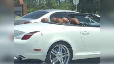 Optical Illusion: इस तस्वीर में कार के अंदर कितने आदमी बैठे हैं? लोगों को 5 दिख रहे, लेकिन ये है सही जवाब