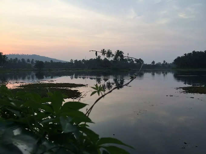 ಆನೆಕೆರೆ ಸರೋವರ