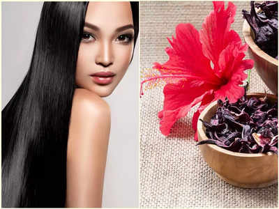 Hibiscus Hair Benefits: জবা ফুলের গুণে পাতলা চুল ঘন হবে, লম্বাও হবে কয়েক সপ্তাহে! ব্যবহারের নিয়মটি জানেন?